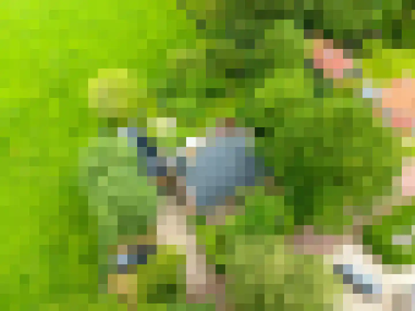 Akkemaweg 3 Stitswerd thumbnail 51