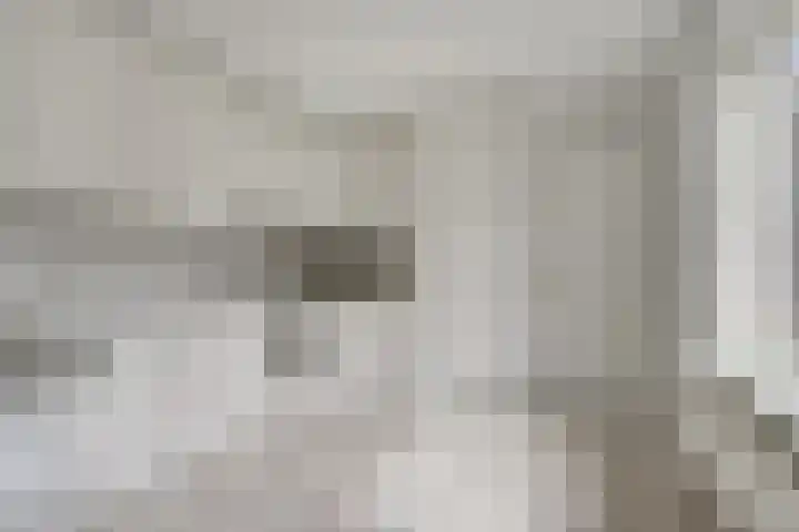 Akker 1 Oosterland thumbnail 11