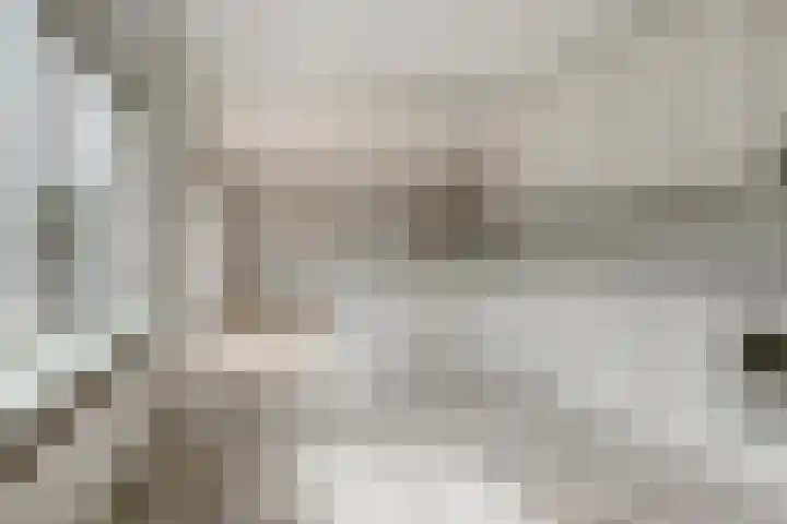 Akker 1 Oosterland thumbnail 13