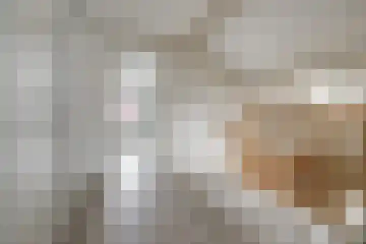 Akker 1 Oosterland thumbnail 16