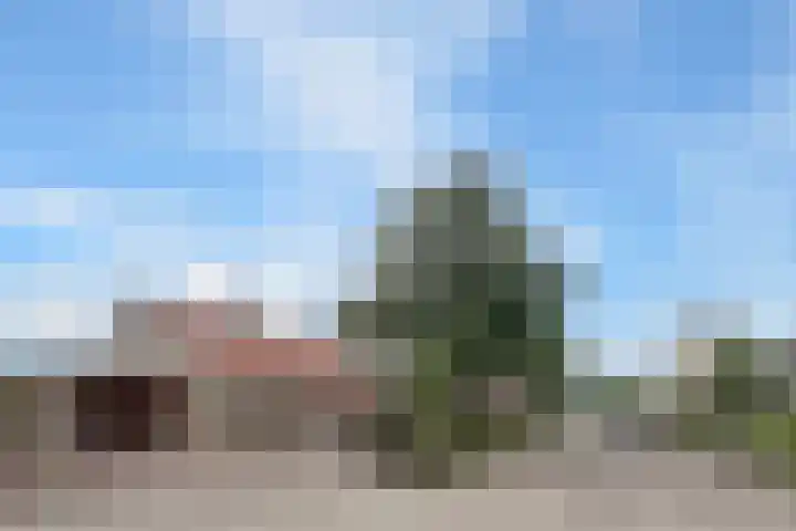 Akker 1 Oosterland foto 2