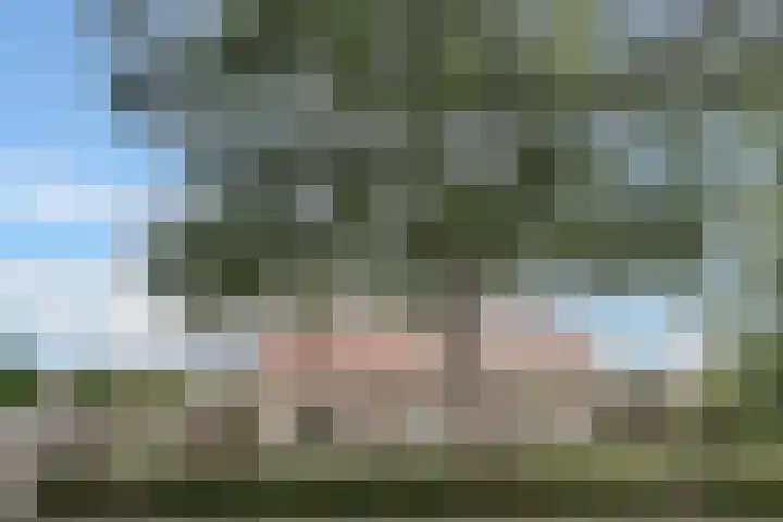Akker 1 Oosterland thumbnail 38
