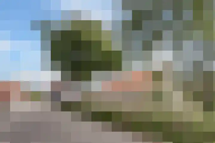 Akker 1 Oosterland thumbnail 39