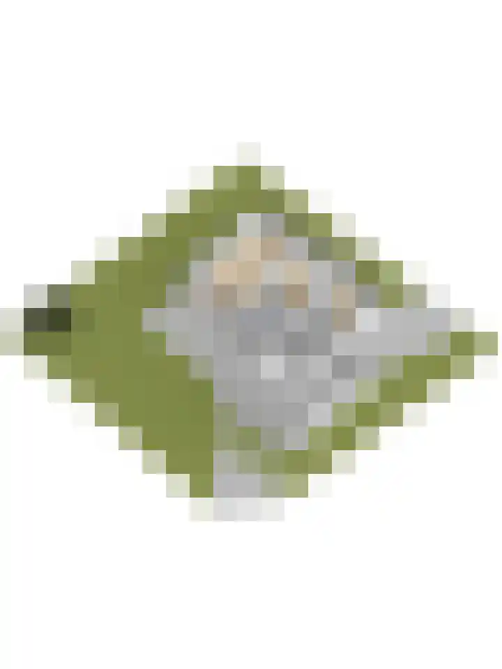 Akker 1 Oosterland thumbnail 46