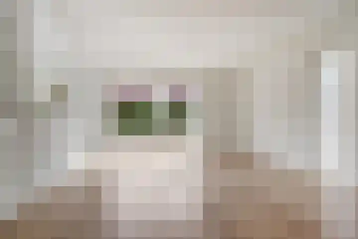 Akker 1 Oosterland thumbnail 9