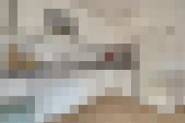 Akker 100 Brielle thumbnail 12