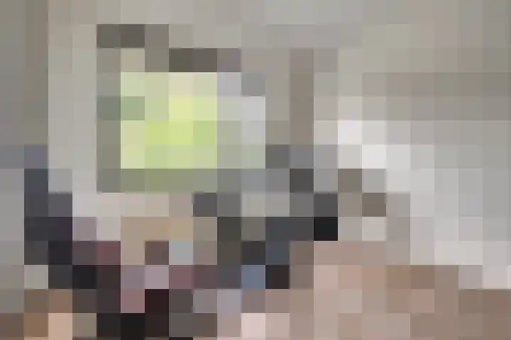 Akker 100 Brielle thumbnail 15