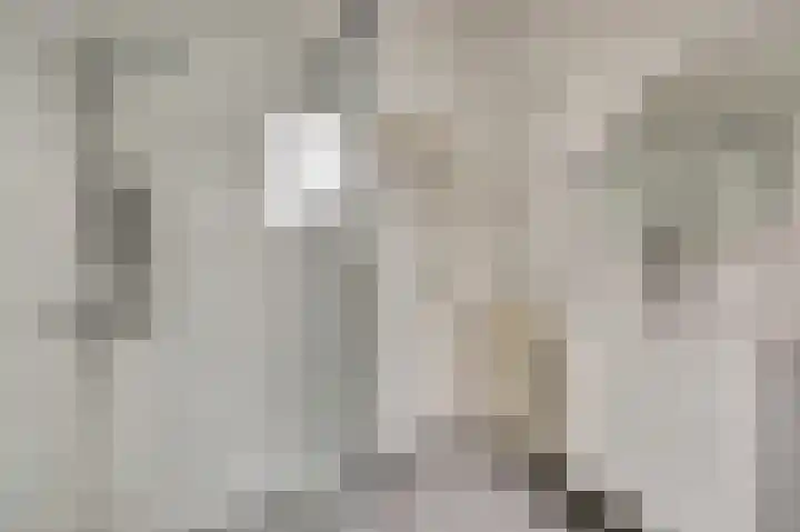 Akker 100 Brielle thumbnail 21