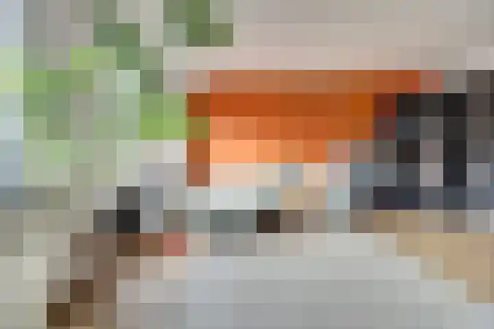 Akker 100 Brielle thumbnail 8