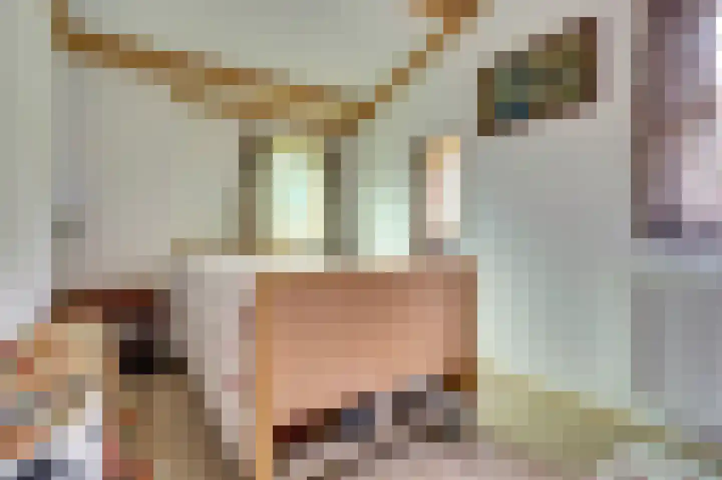 Akker 12 Oosterland thumbnail 25