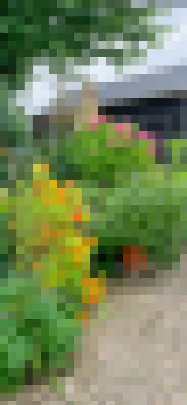 Akker 12 Oosterland thumbnail 34