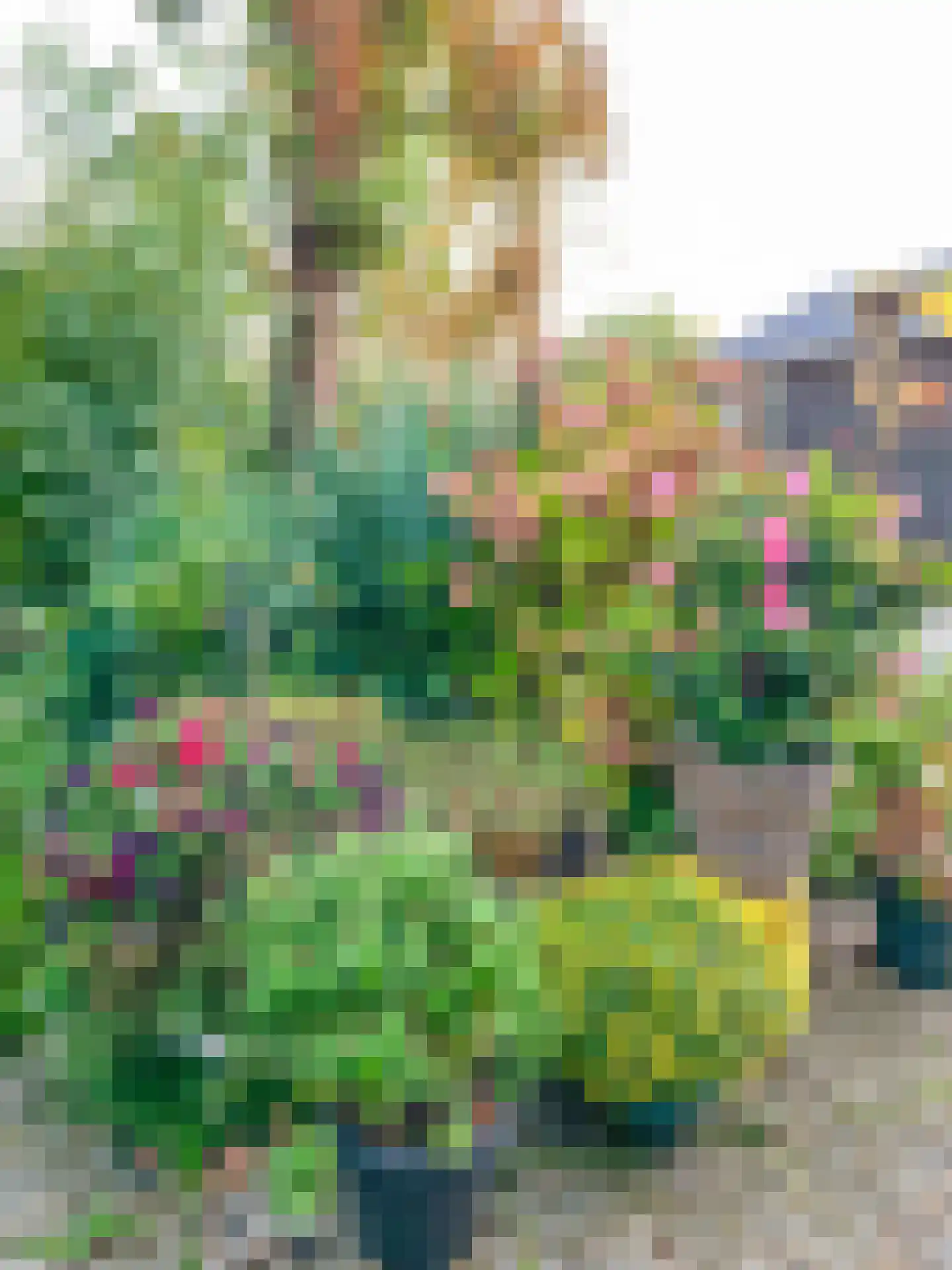 Akker 12 Oosterland thumbnail 35