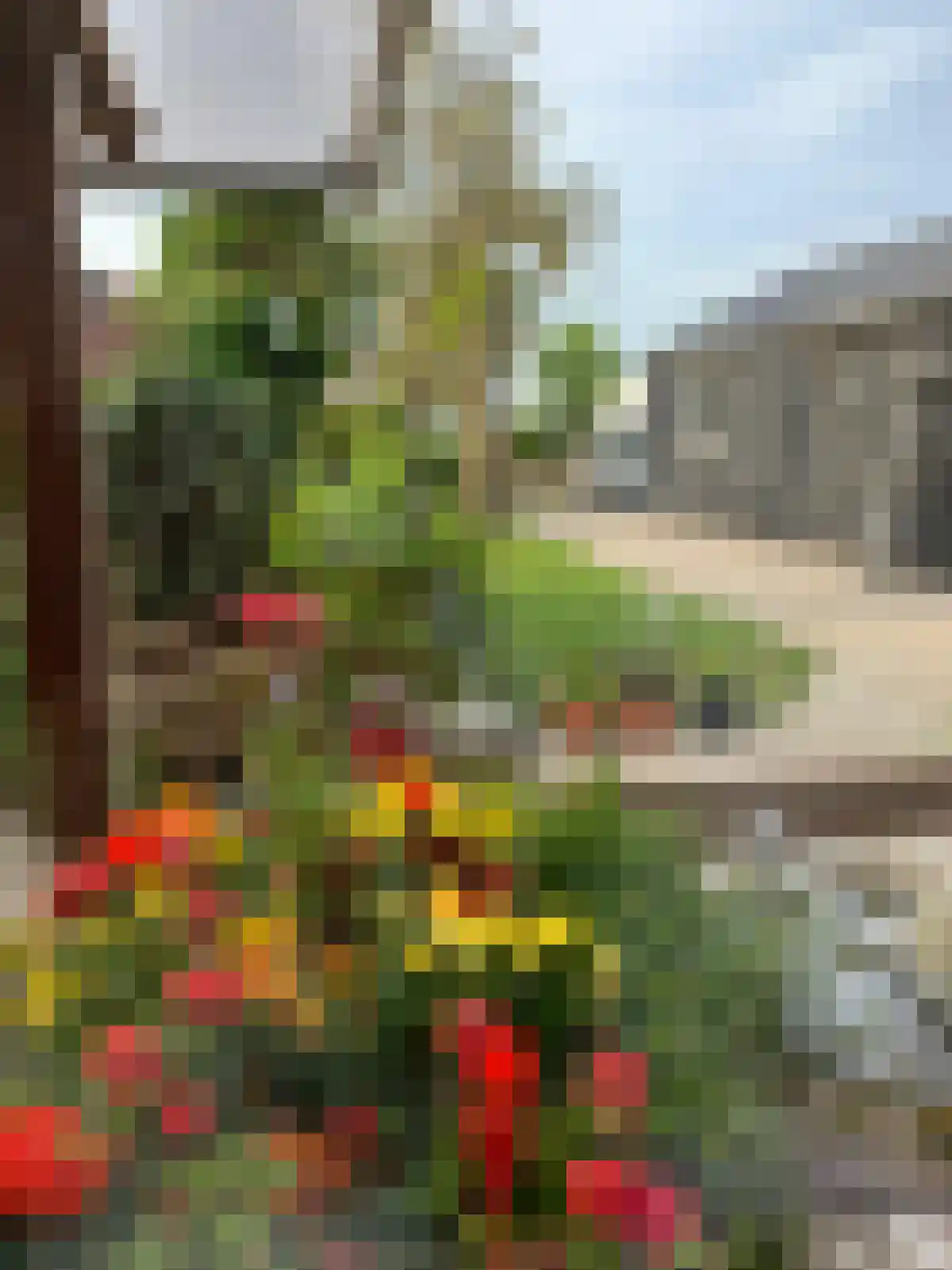 Akker 12 Oosterland thumbnail 36