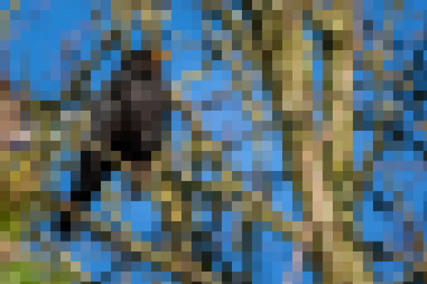 Akker 12 Oosterland thumbnail 38
