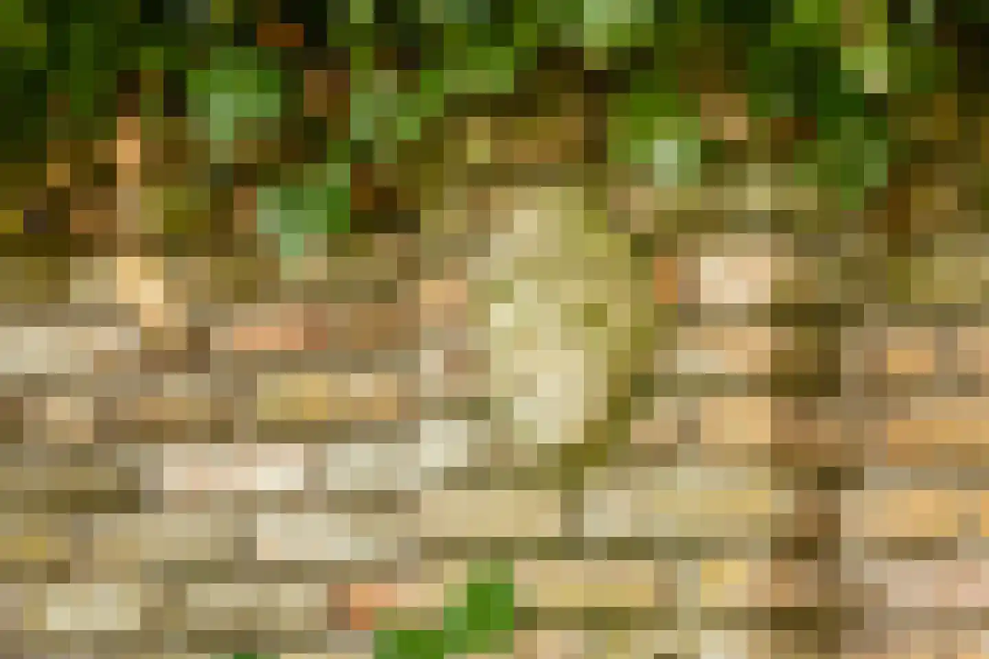 Akker 12 Oosterland thumbnail 39