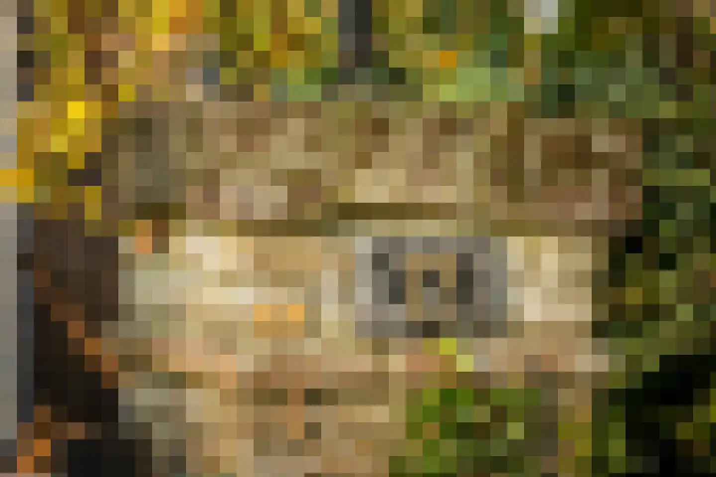 Akker 12 Oosterland thumbnail 41