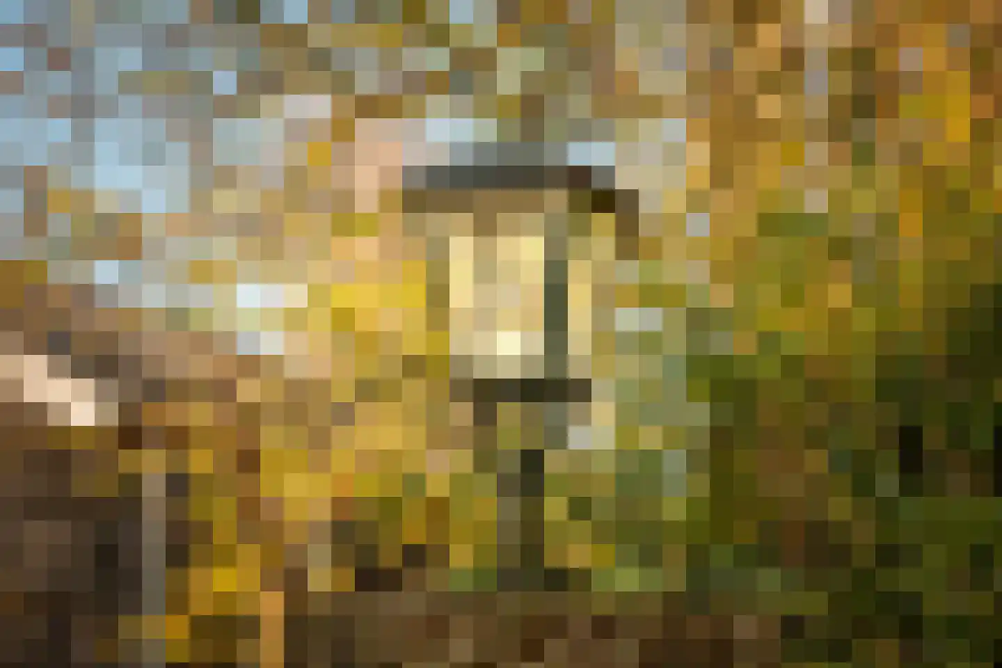 Akker 12 Oosterland thumbnail 42