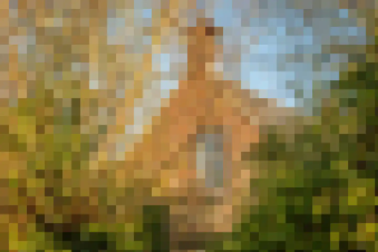 Akker 12 Oosterland thumbnail 7