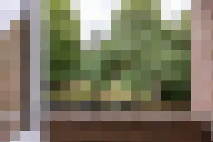 Akker 159 De Bilt thumbnail 25