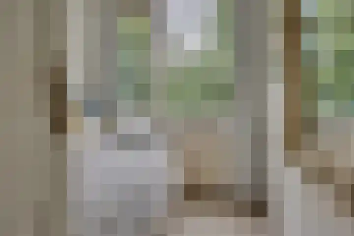 Akker 159 De Bilt thumbnail 26