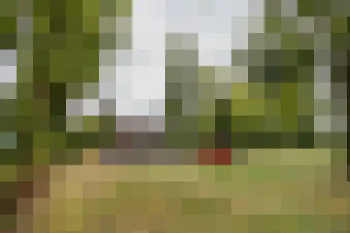 Akker 159 De Bilt thumbnail 30