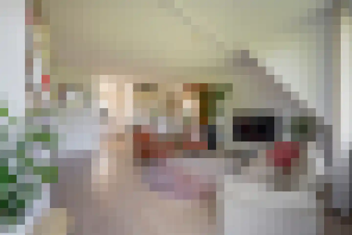 Akker 160 De Bilt thumbnail 15