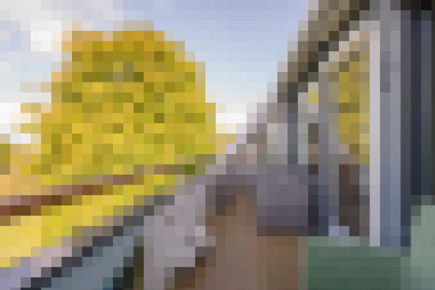 Akker 160 De Bilt thumbnail 20