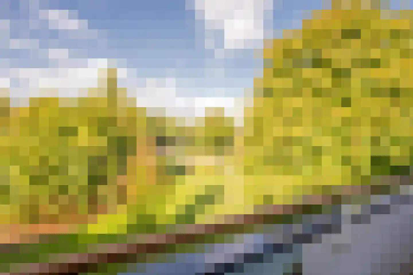 Akker 160 De Bilt thumbnail 21