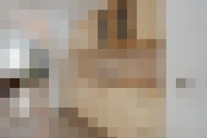 Akker 23 Vriezenveen thumbnail 17