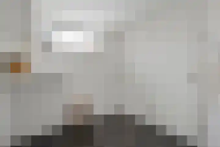 Akker 23 Vriezenveen thumbnail 21