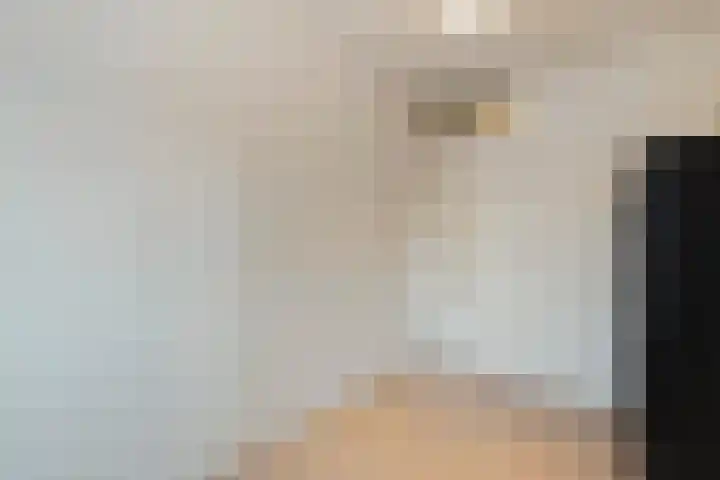 Akker 23 Vriezenveen thumbnail 29