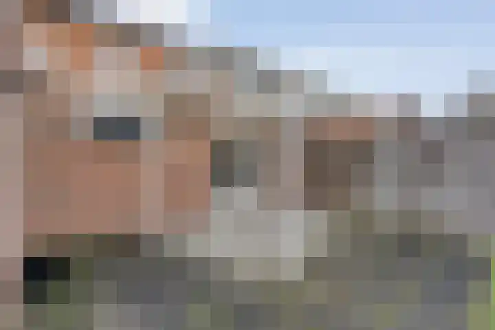 Akker 23 Vriezenveen thumbnail 39