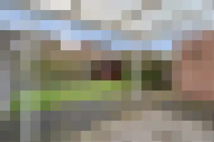 Akker 23 Vriezenveen thumbnail 43