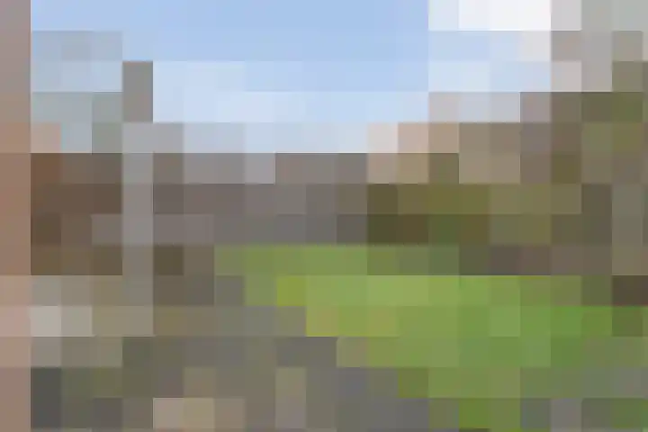 Akker 23 Vriezenveen thumbnail 45