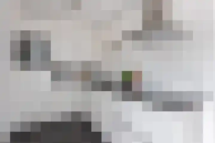 Akker 38 Borne thumbnail 10
