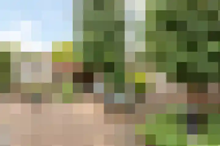 Akker 38 Borne thumbnail 19