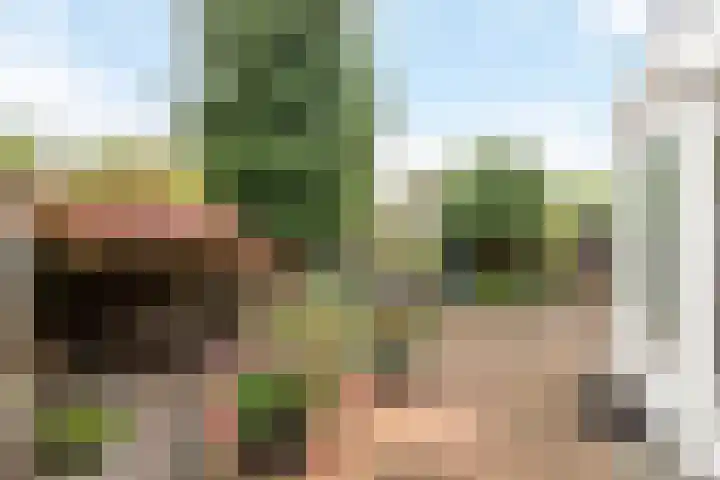 Akker 38 Borne thumbnail 4