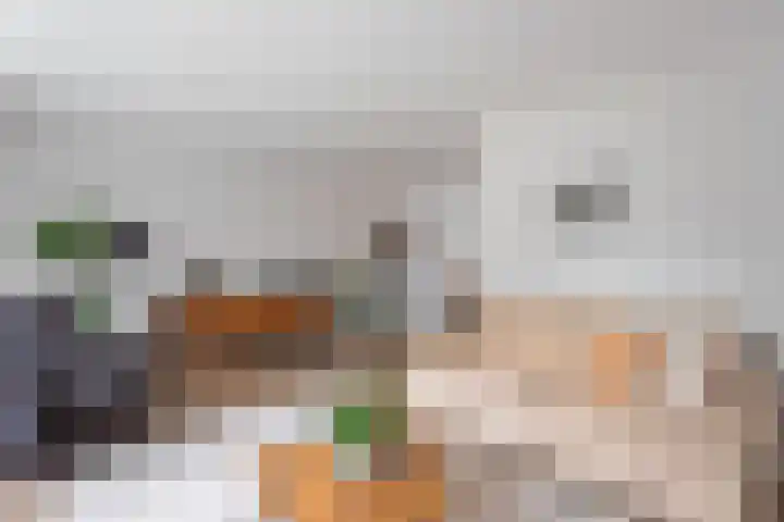 Akker 38 Borne thumbnail 8