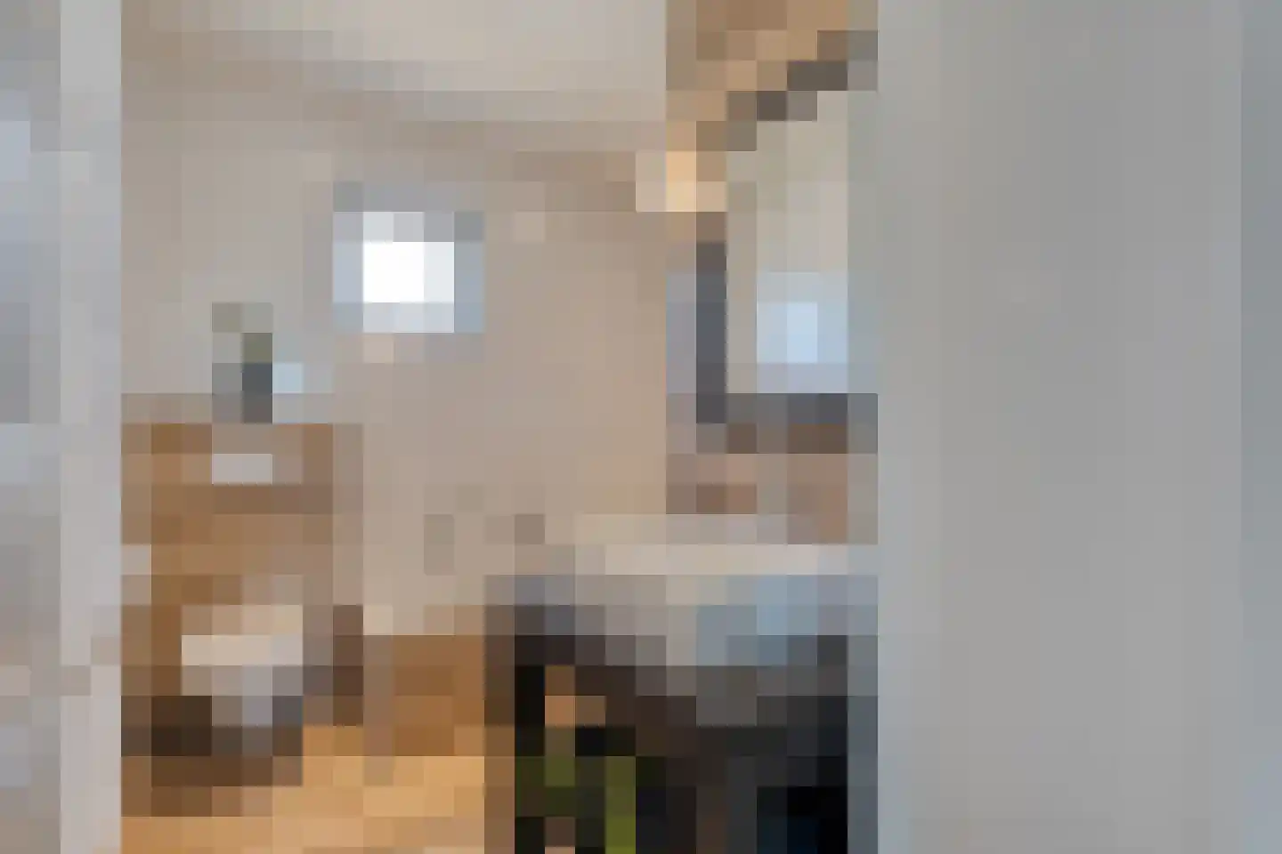 Akker 43 Holten thumbnail 23