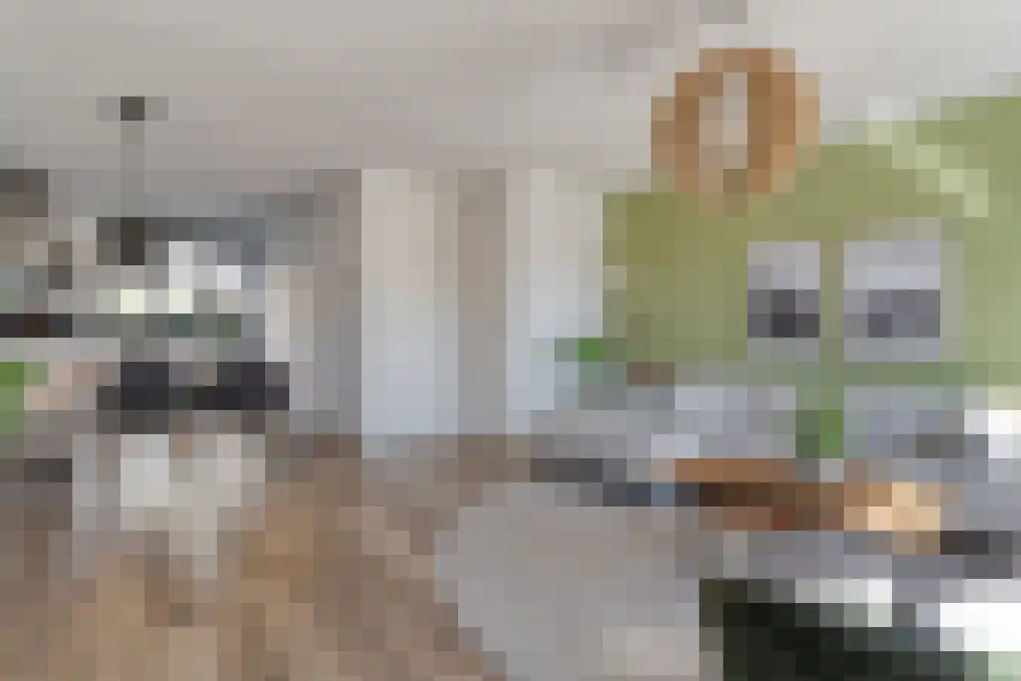 Akker 43 Holten thumbnail 9