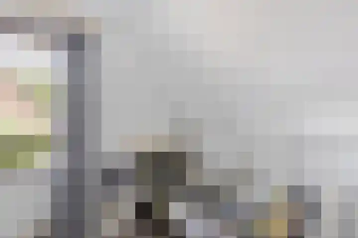 Akker 44 Borne thumbnail 13