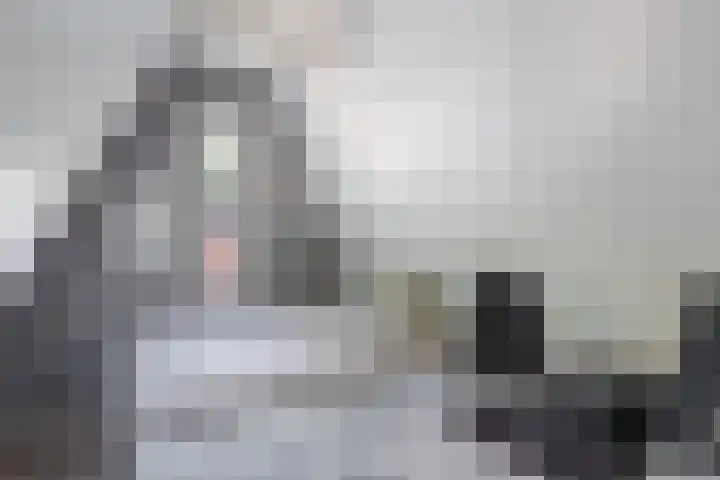 Akker 44 Borne thumbnail 17