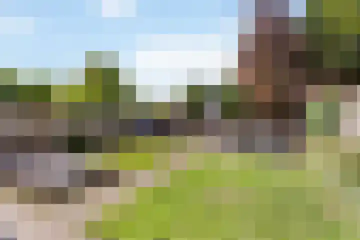 Akker 44 Borne thumbnail 20