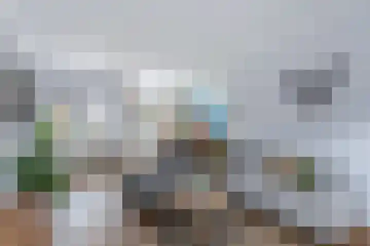 Akker 44 Borne thumbnail 7
