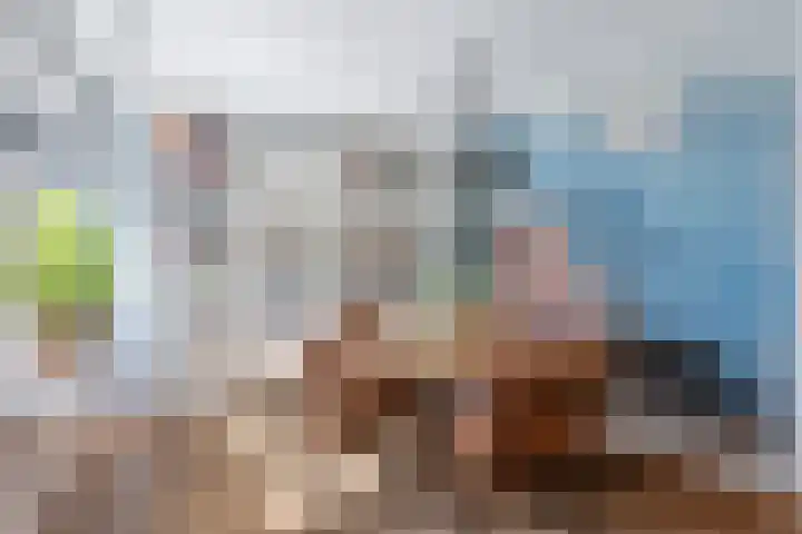 Akker 44 Borne thumbnail 8