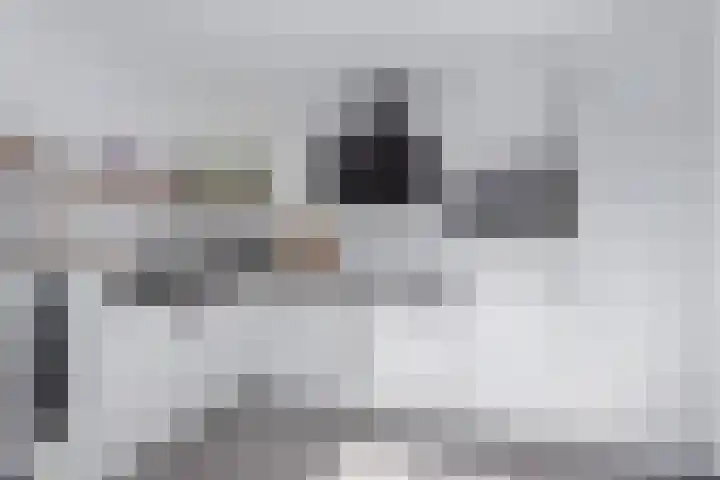 Akker 44 Borne thumbnail 9