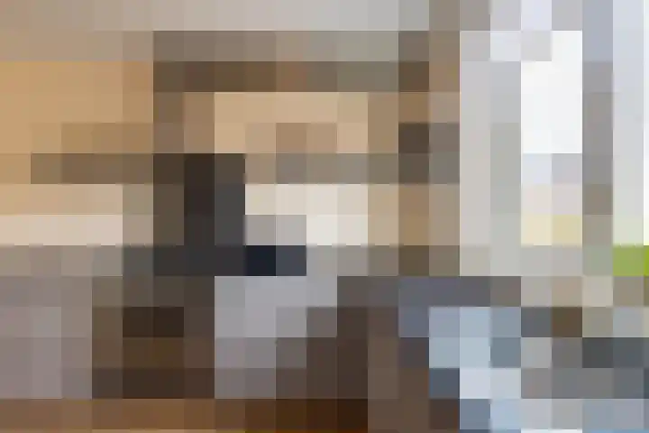 Akker 45 Holten thumbnail 12