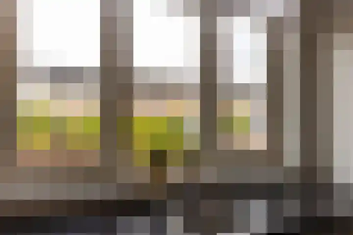 Akker 45 Holten thumbnail 15