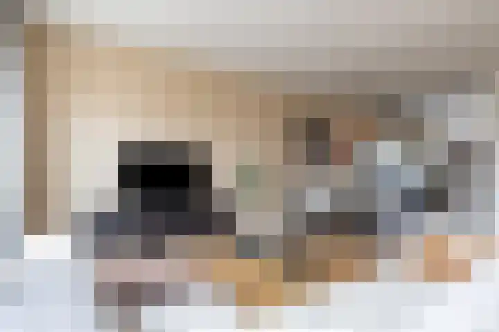 Akker 45 Holten thumbnail 7