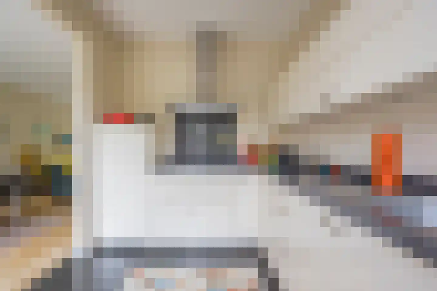 Akker 52 De Bilt thumbnail 15